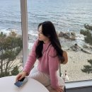 호반편의점 | [제천] 의림지 맛집 청풍호반 케이블카 후기 제천 데이트
