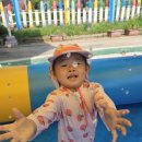 맑고향기로운연꽃동산어린이집 이미지