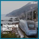 안인진길 이미지