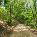 정수리마을회관 이미지