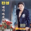 진성미디어 이미지