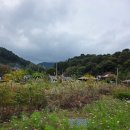 거열빌라 가는도로 | 가평 나아하 독채 풀빌라, 야외수영장부터 잔디마당 바베큐까지 완벽한 숙소 후기