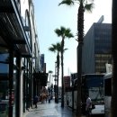 [미국 로스앤젤레스 LA 관광지, 관광지-건축물] 할리우드 ( Hollywood ) : 워크 오브 페임 (Walk of...