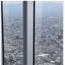 야후빌딩 이미지