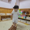 5/29 뭉크 둥이들🐱 이미지