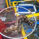 충주횟집1호점 이미지