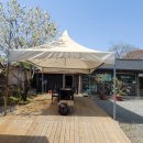 꽃하루방 이미지