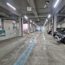 아쿠아리움 | 단양 다누리 아쿠아리움 후기｜아이동반 필수코스 관람시간 주차 할인꿀팁 까지 정리