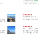돌고래카 이미지