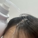 백합미용실 | 미용실약산성샴푸 1L 동백오일 앙코샴푸 대용량샴푸