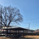 느티나무민박 | 보령펜션 느티나무집펜션 다녀왔어요