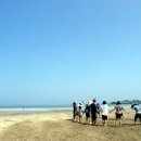 대안생활 이미지