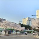 한강로 4길 | 대구 안경 사수동 아이젠트리 금호점에서 정밀 시력 검사 대만족 후기