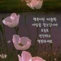 라피에스타공인중개사사무소 이미지