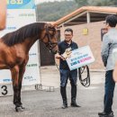 건영승마장 이미지