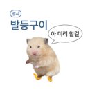 연제구-129 | 2025년 9~10월 백수의 삶 결산