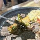 국대오리 이미지