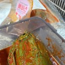 금치 | 김치주문 고민 끝! 전라도 김치 ‘금치’ 솔직 후기 (배추·깻잎·부추 다 먹어봄)