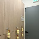 에스엔피이바른자세척추운동분당 | 분당체형교정 수내체형교정 바디밸런스 자세교정 추천 직장인 승모근 등통증 PT 필라테스