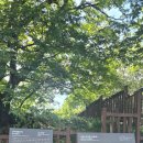 군자성황사지 이미지