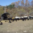 아기염소 이미지