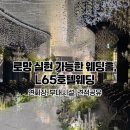 로망실현 가능한 L65호텔웨딩 웨딩홀투어후기 (+견적공유)