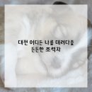 둔산카써비스 이미지