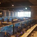 맥스피드PC만촌직영점 | 만촌동 PC방 [맥스피드PC방] 신상PC방/ PC방카페 /수성구PC /만촌동피시방