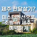 소랑in제주 | 제주도 한달살기 비용 걱정 끝! 미스터멘션으로 합리적인 숙소 "소랑 in 제주" 예약하는 방법 공유