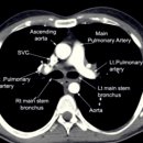 은성흉부외과의원 이미지