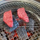 만배목장 티스토리