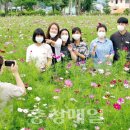 부리면사무소 이미지