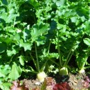 마현농장 이미지