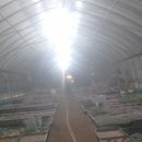 월금농장 이미지