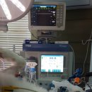 마루종합동물병원 이미지