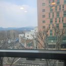 라솜산후조리원 창경궁지점 | 라솜 산후조리원 창경궁점 내돈내산 솔직 후기