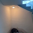 밝은동산 이미지