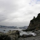 백선사