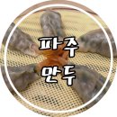 파주만두맛집, 수제만두가 맛있는 훈장만두 파주해오름점 후기!