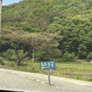 맛집투어 #4 횡성 카페 추천, 봉즈살롱, 애견동반 가능, 메뉴, 가격, 방문 후기, 주차장