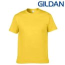 펄스코리아 이미지