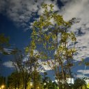 이동석한의원 이미지