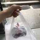 이승남의꽃과빵 이미지