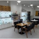 드림독 강아지분양 안심분양센터 김포점 이미지