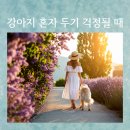 우동펫(우리동네 펫 서비스) | 펫시터 대안 찾다가 비포펫 써봤더니, 강아지산책어플 최고였던 후기
