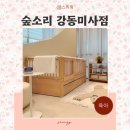 이레슈퍼 - 춘천시 중앙로 45-2 | 원목아기침대 가드 범퍼 수납침대 사이즈 저상형침대 슈퍼싱글 데이베드 이층침대