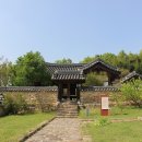 대성장어 이미지