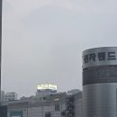 홍삼약국 | 용산역 전자랜드 창고형 약국 메디킹덤 방문 후기 | 가격·규모·제품 총정리