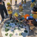 강동무지개어린이집 이미지