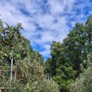 도라산농장 이미지